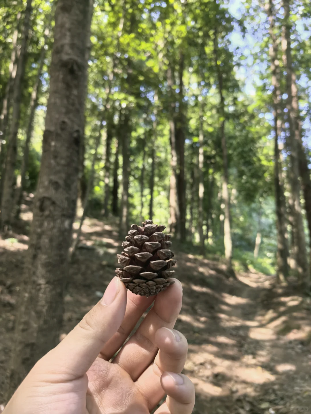 山不见我，我去见山