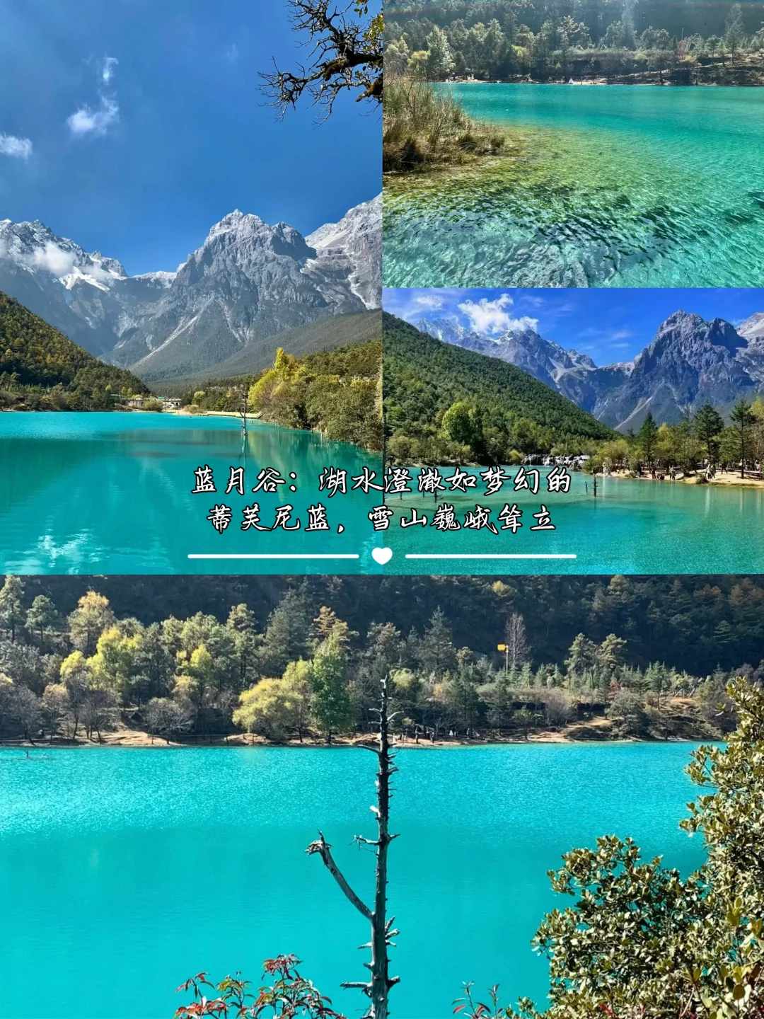 奔赴彩云之南🛫昆明大理丽江绝美风光全攻略