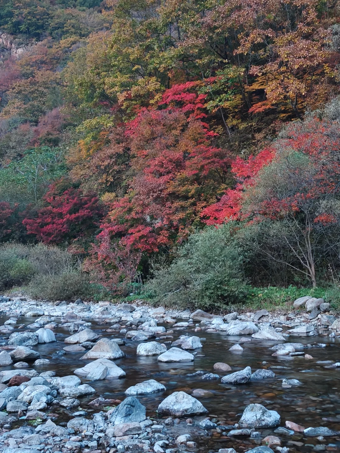 刚从本溪回来，六大赏枫景点大测评！(上篇)