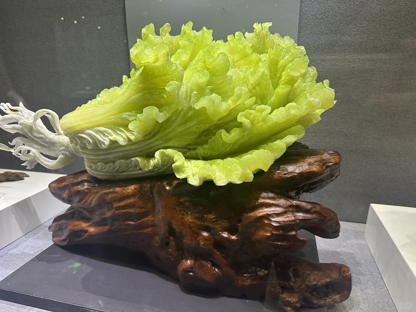 北京牛马周末去哪里-河北沧州一日游攻略