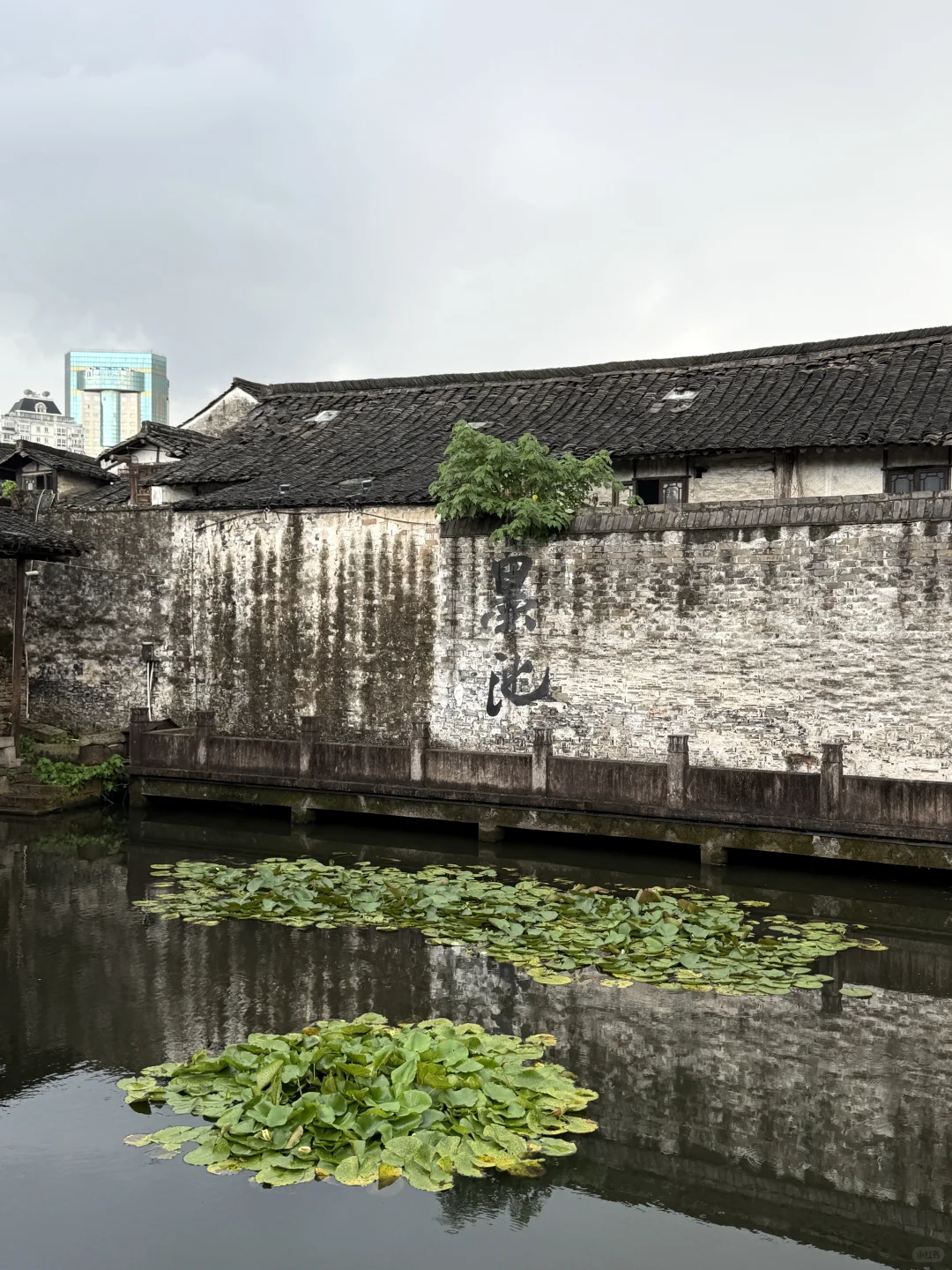 暑假旅游第1️⃣站：绍兴！！！！！！！！！