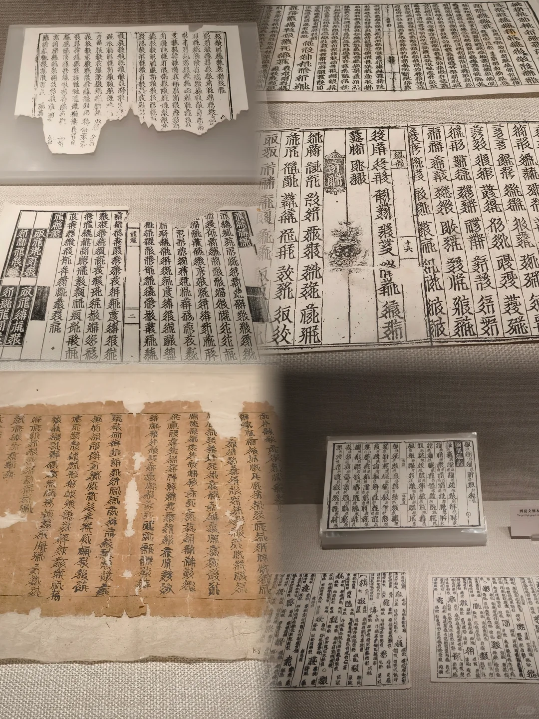 银川 | 暴走~西夏陵会惩罚每一个踩点的人