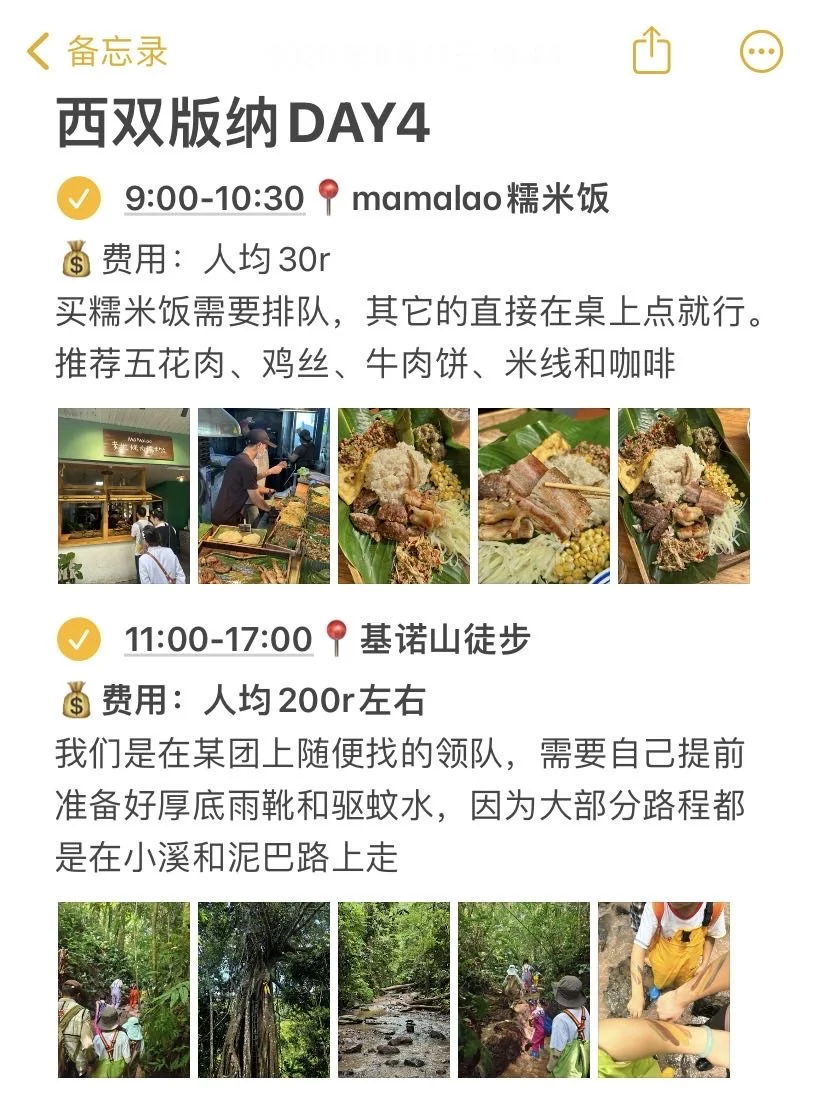 📍版纳已回！本J人对自己的攻略复盘甚是满意