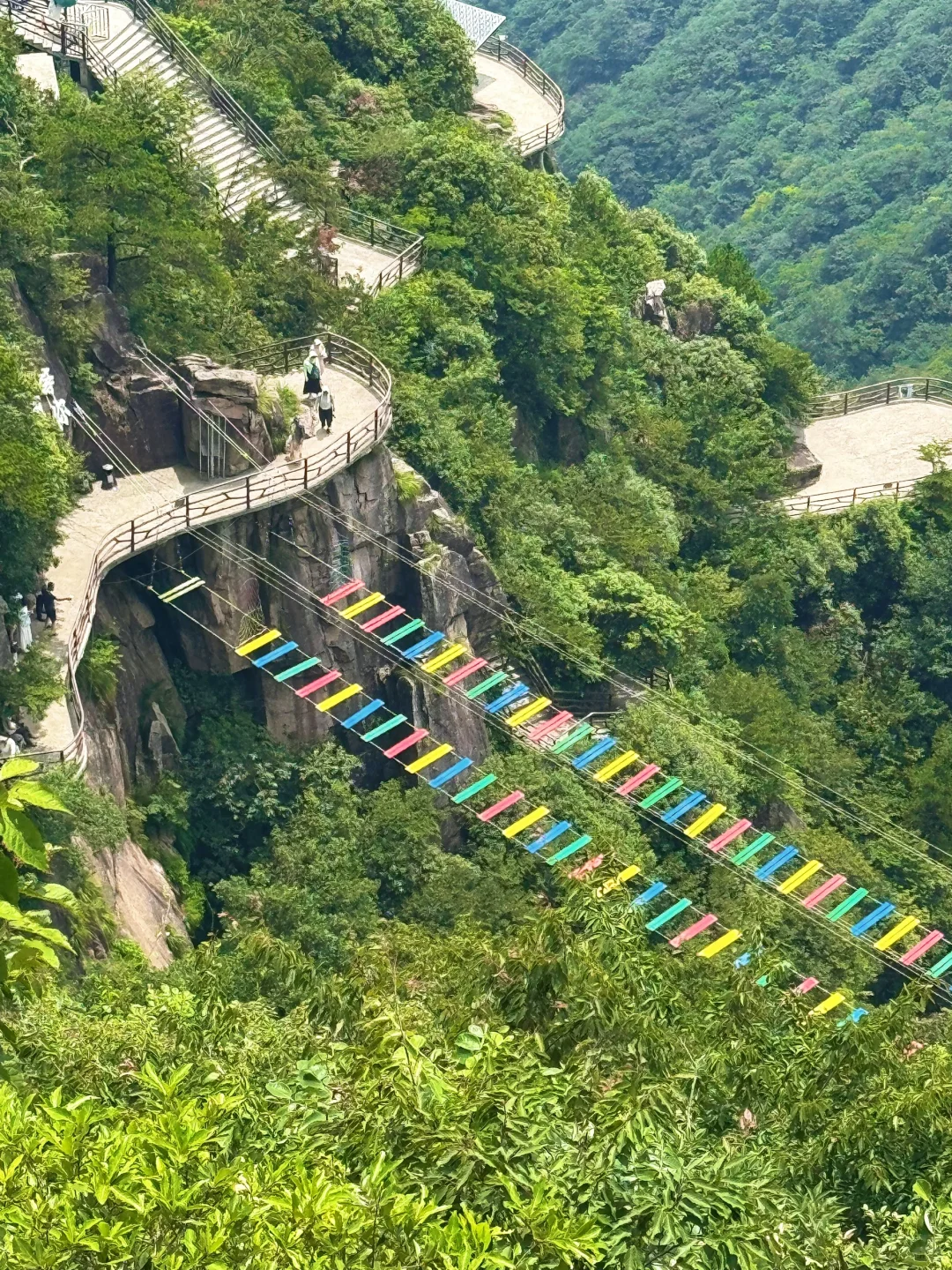 一不小心掉进了仙侠世界！带娃修仙爽飞
