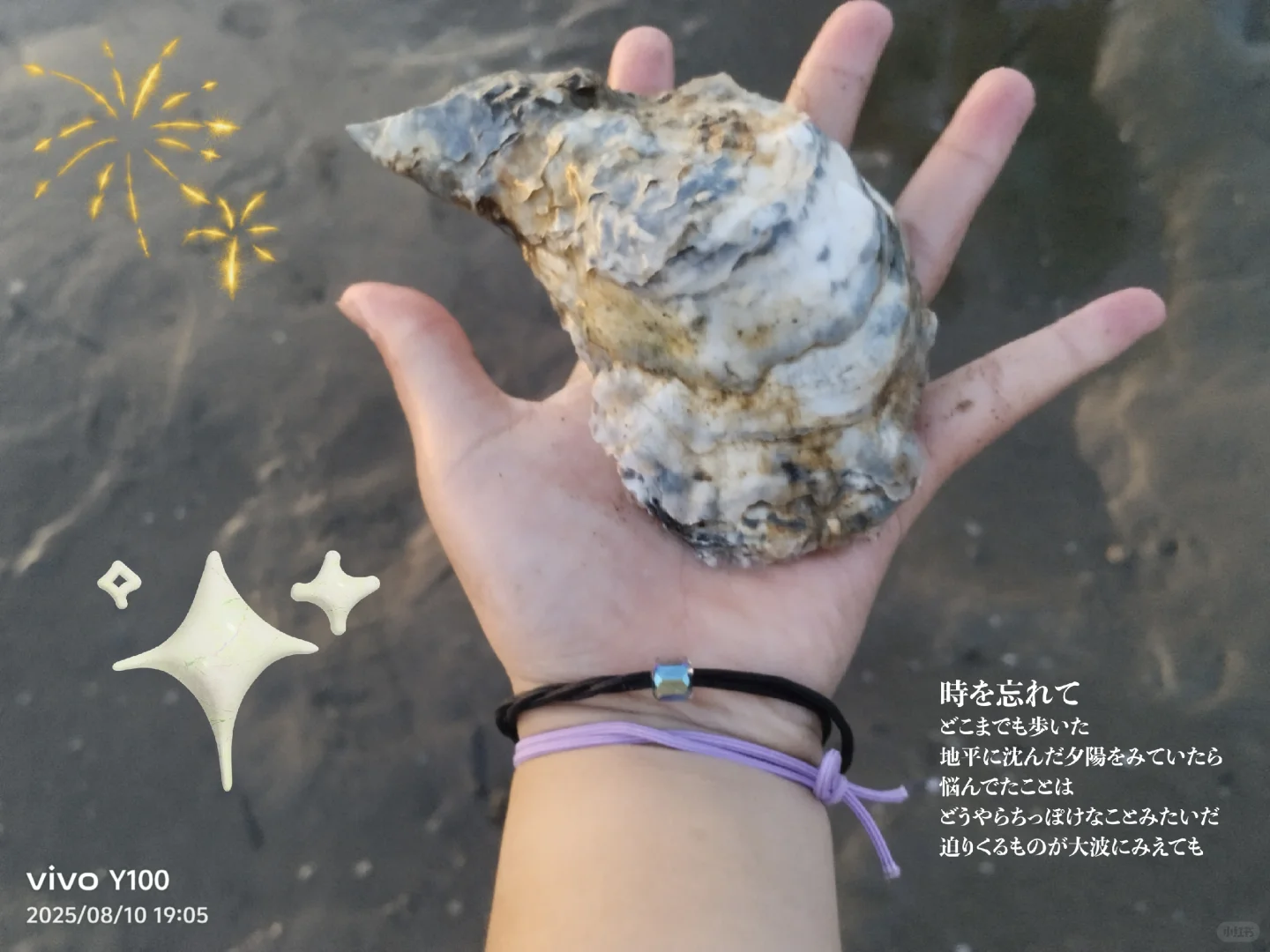 坐在海边看日落