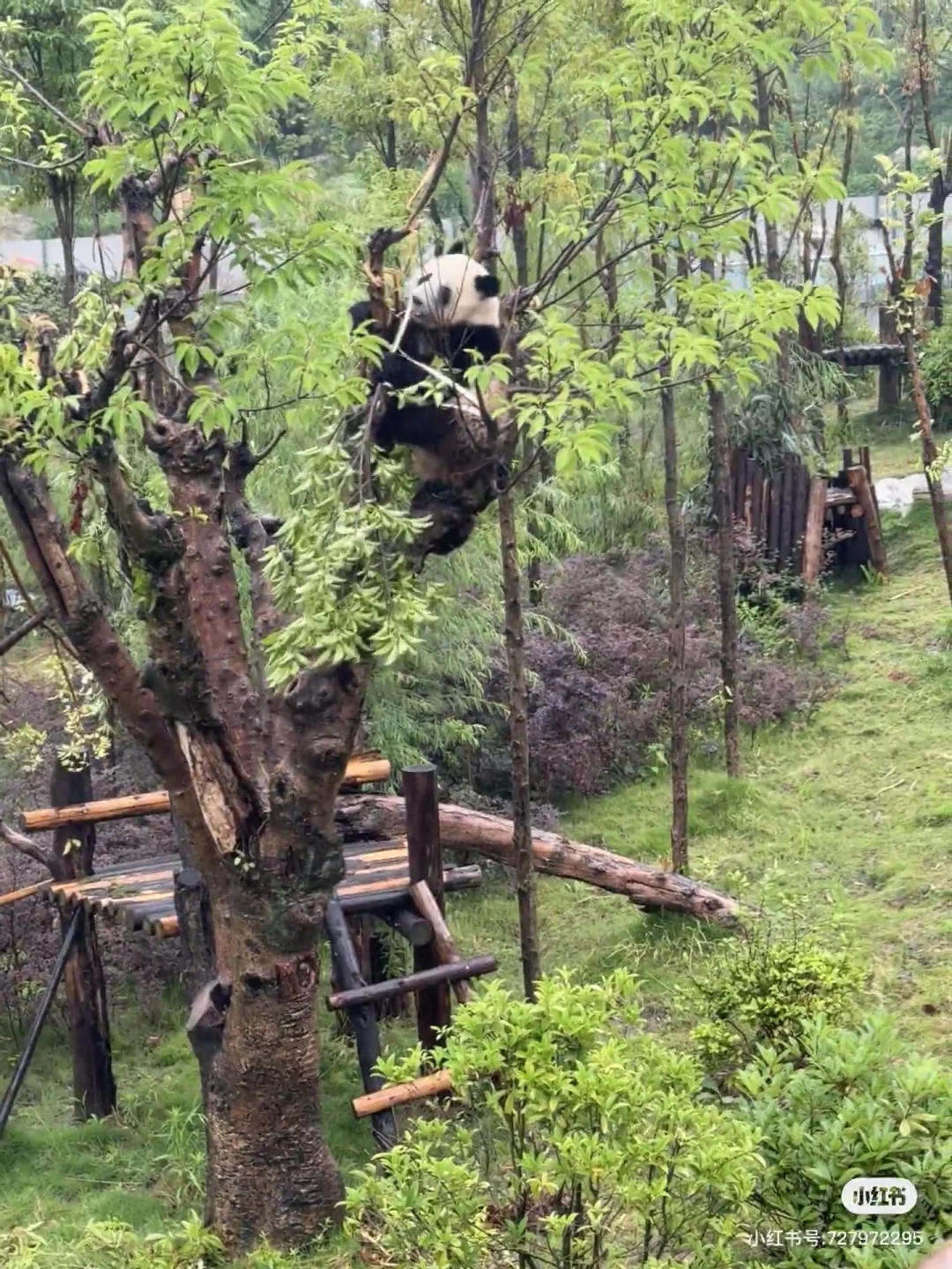 成都旅游不迷路🎈详细景点分布图👉