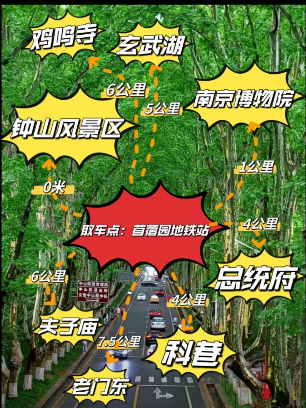钟山风景区终极秘籍：想保腿不废电车是刚需