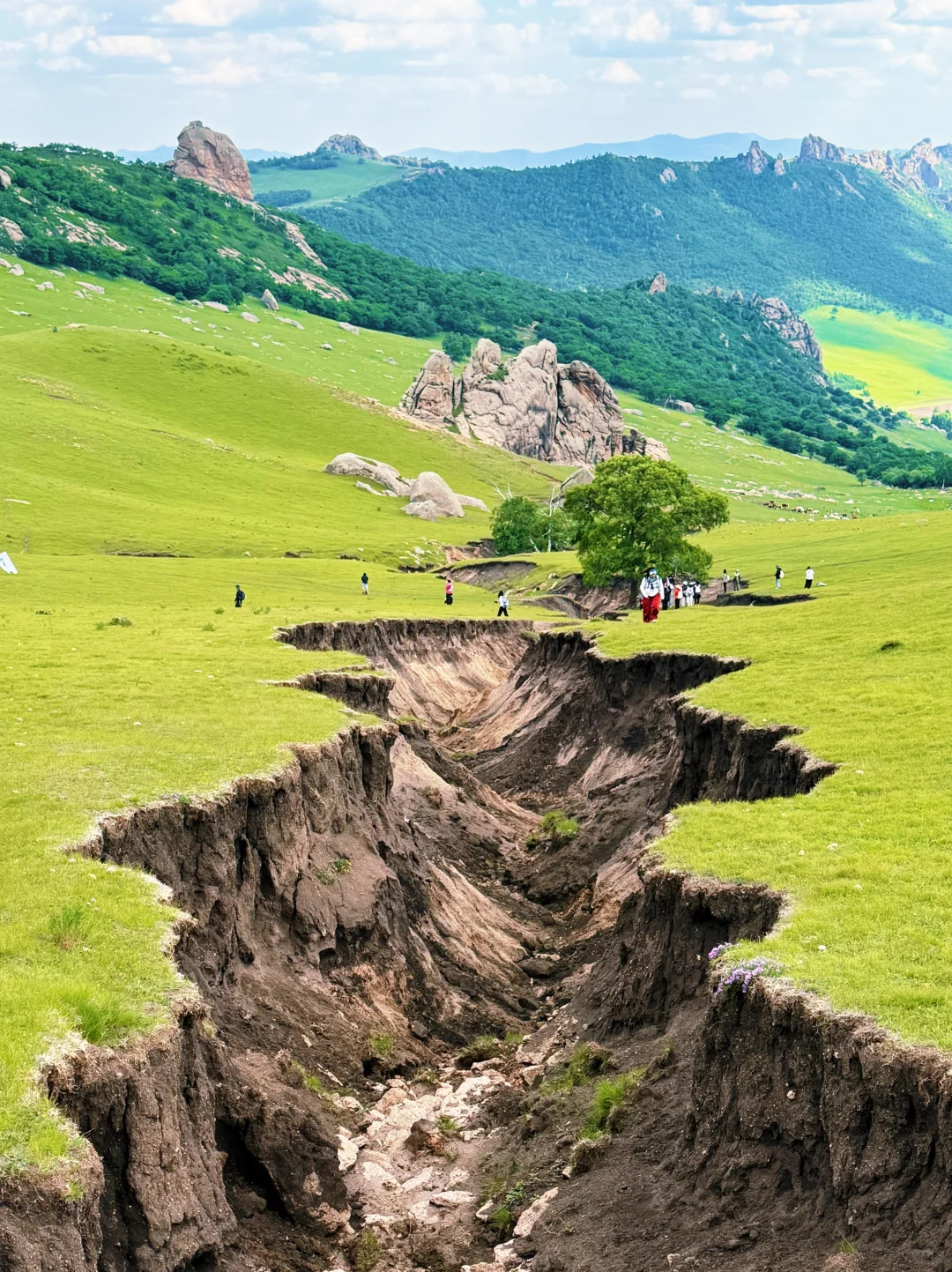 人间塞尔达⛰️下次必须带狗来！