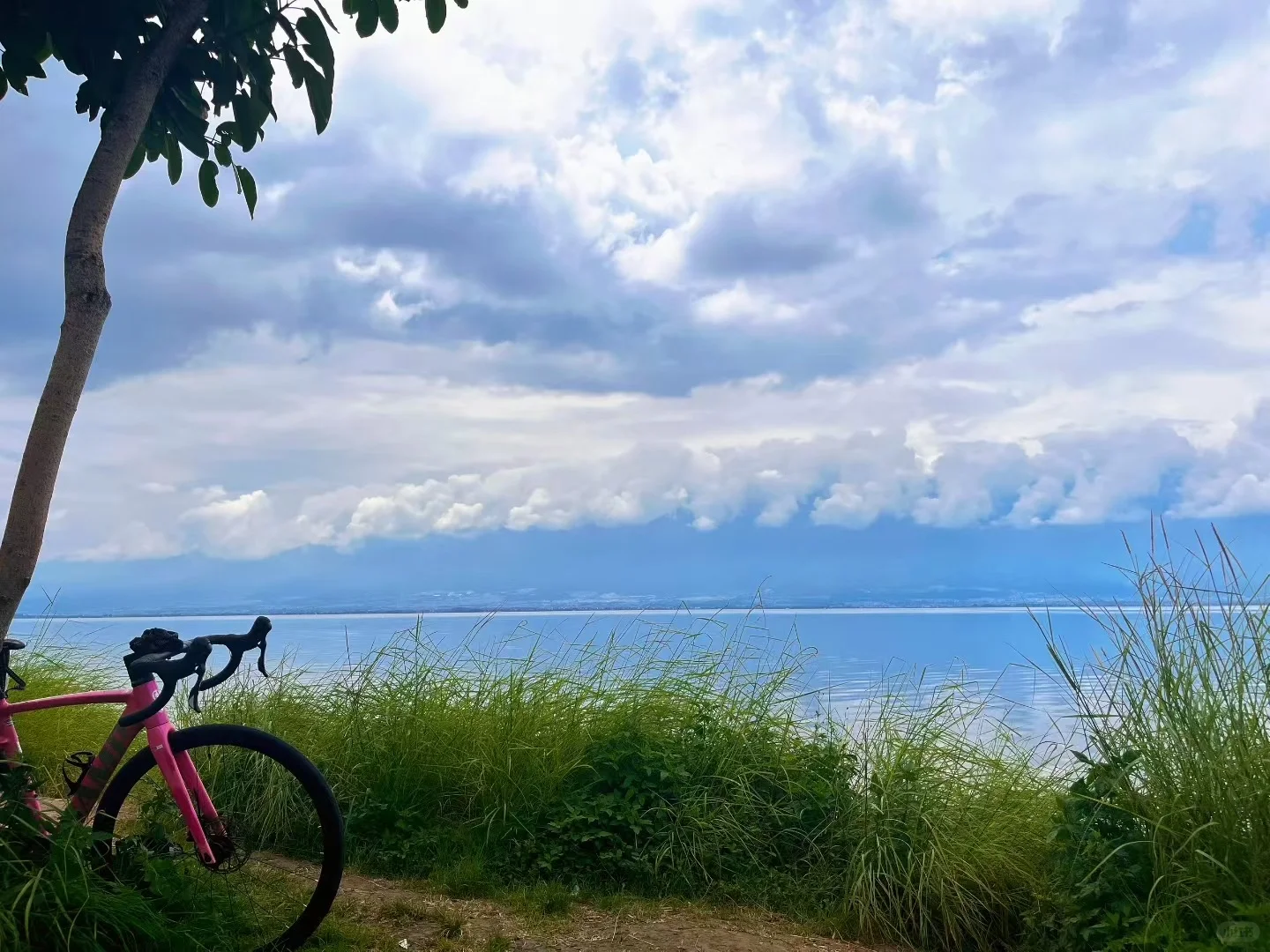 【避暑秘境】让你躲进25°C的夏天凉快一夏
