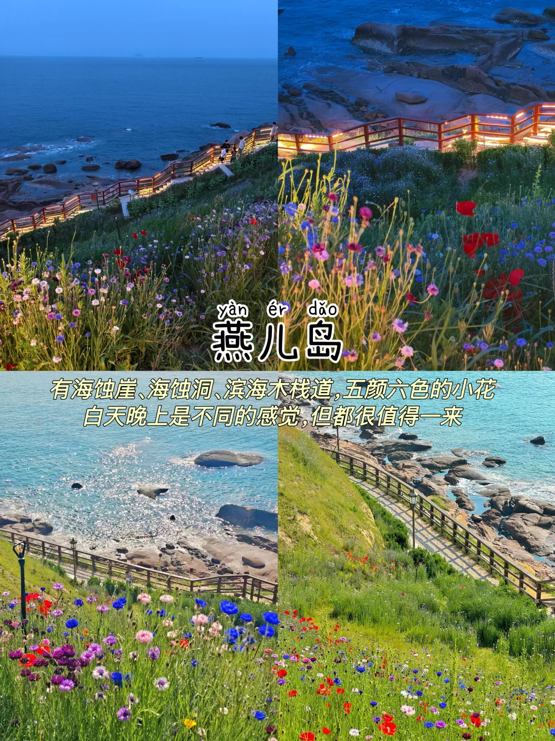 青岛📍三天两夜｜不绕路版保姆级逛吃攻略‼️