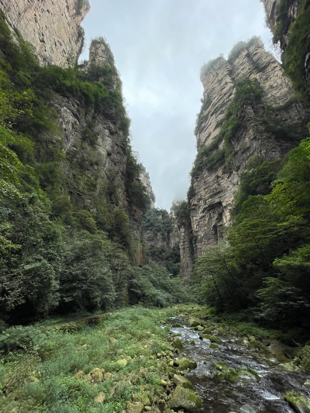 🇩🇪 德国“张家界”？德累斯顿Basteibrücke