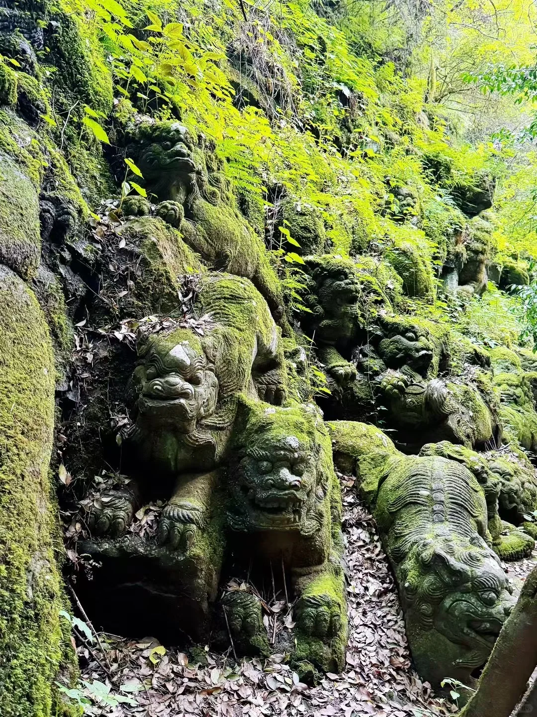 挑战全程（上下）徒步剑川千狮山！