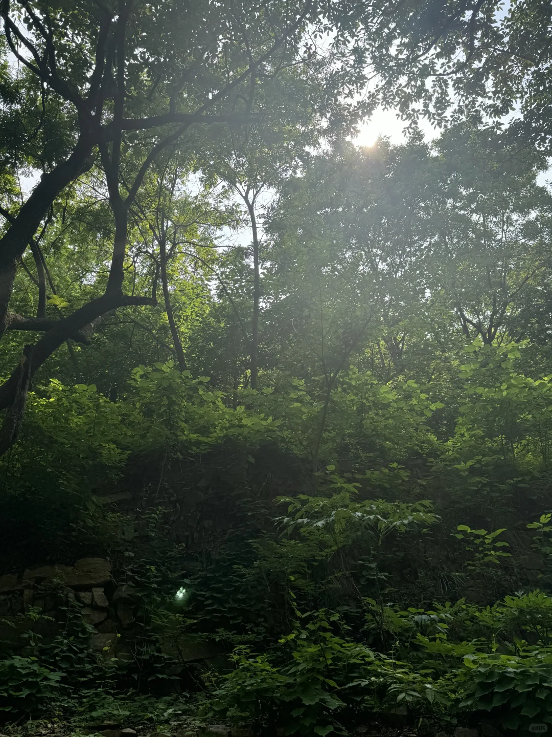云丘山｜你们卷吧，我进山吸氧～🍃