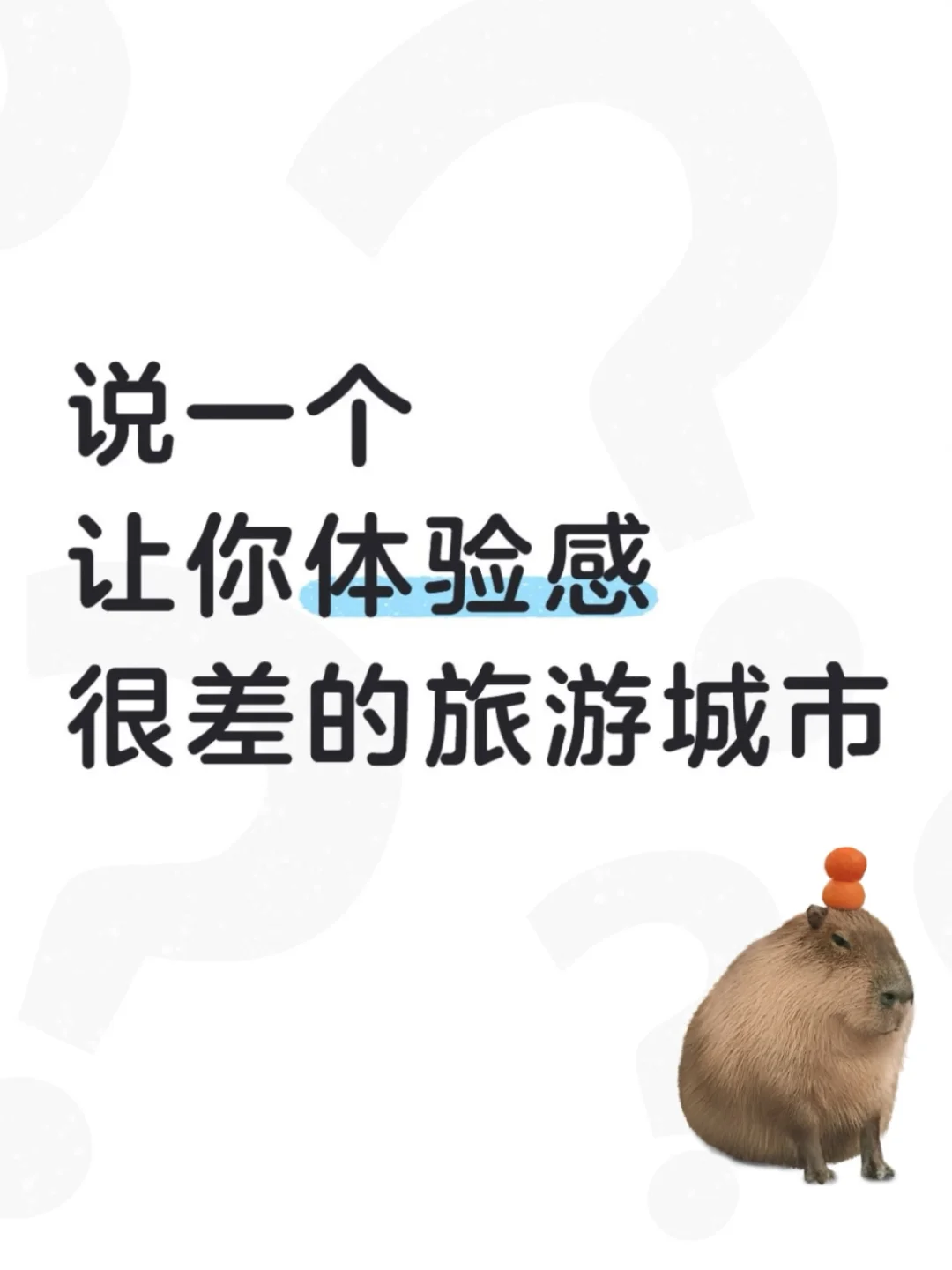 说一个让你体验很差的旅游城市🏙️