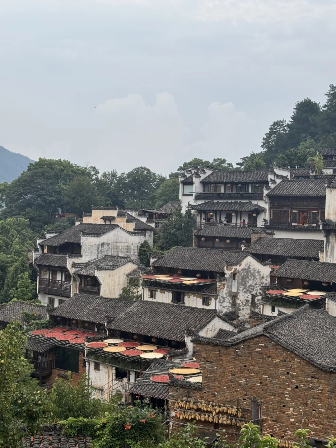 📍婺源•篁岭
