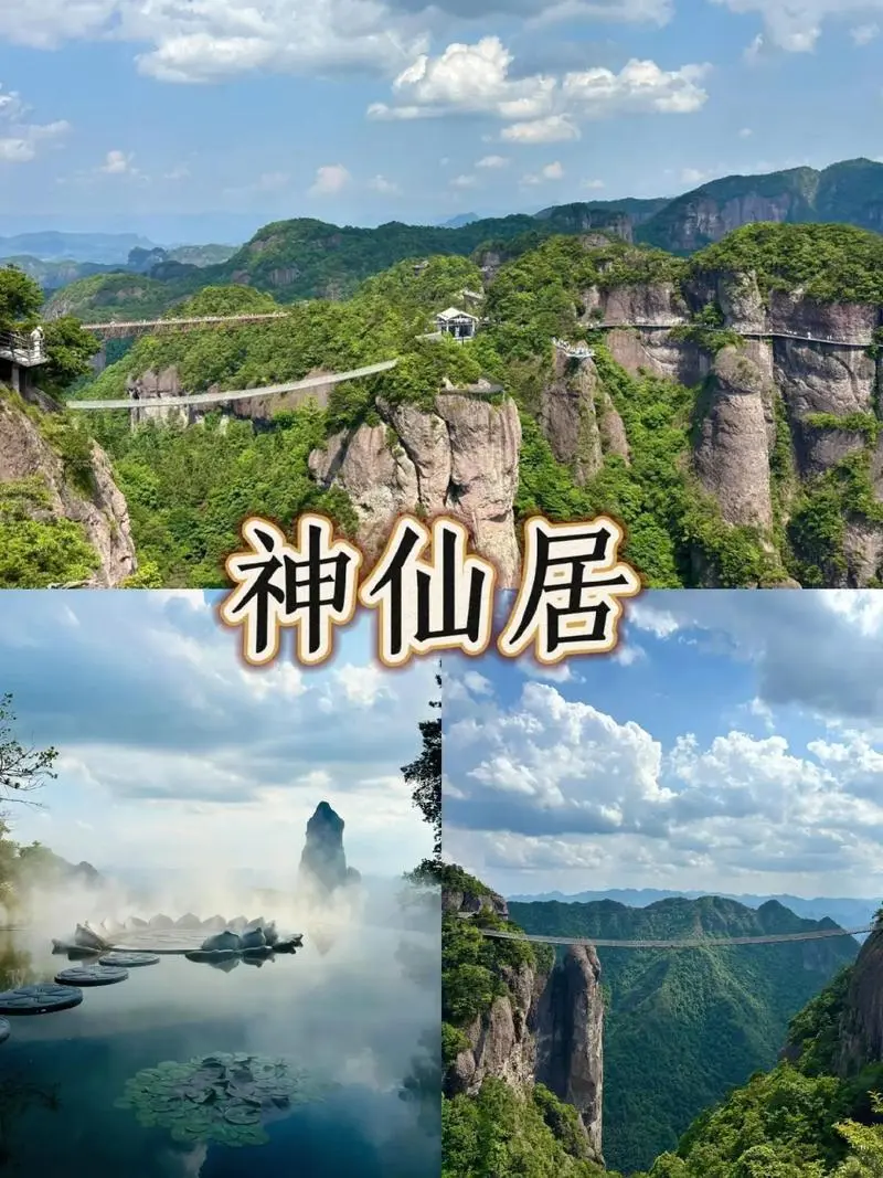 🌿【浙江超全旅行攻略】水墨江南&海岛风情