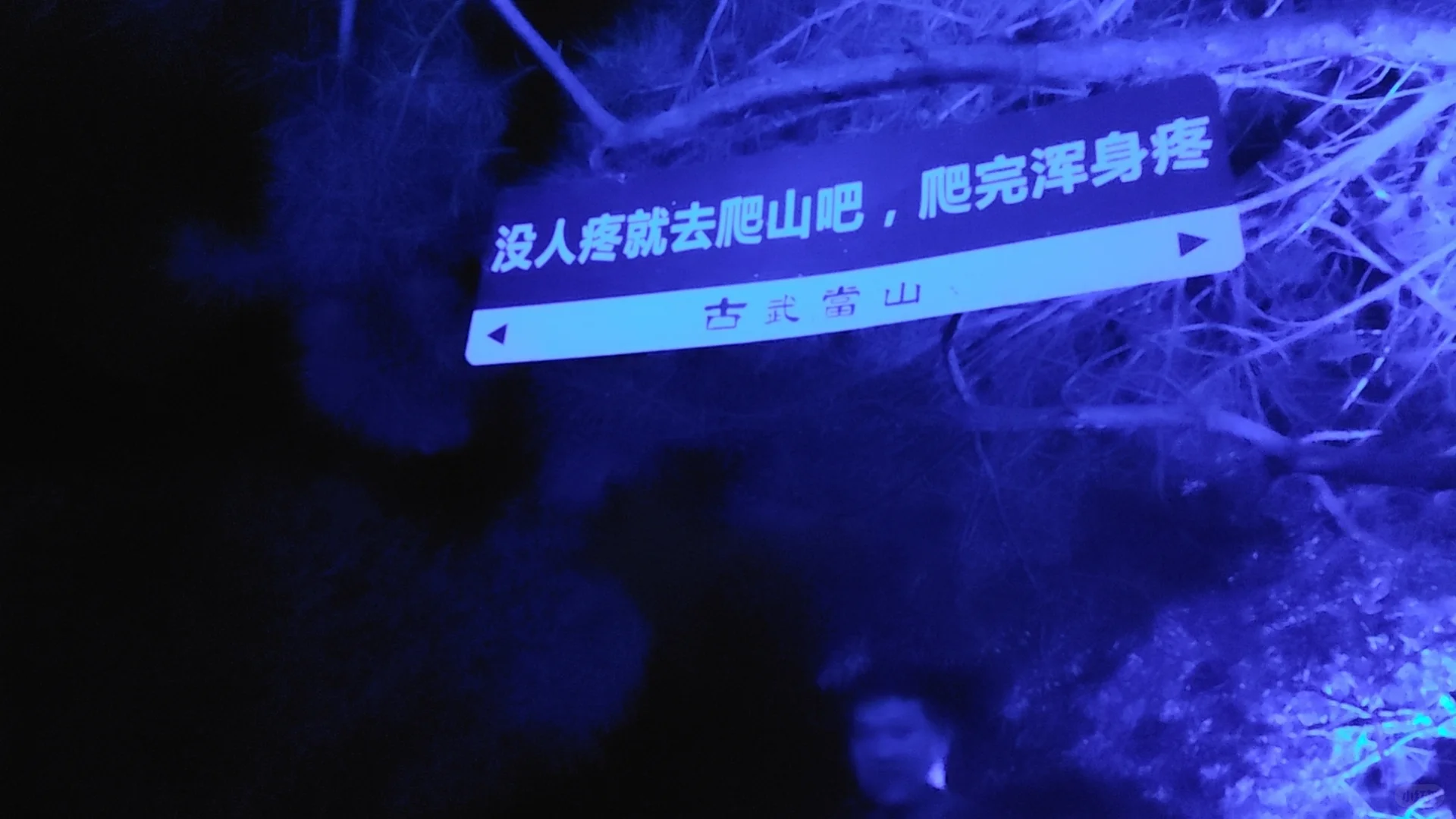 去爬山吧