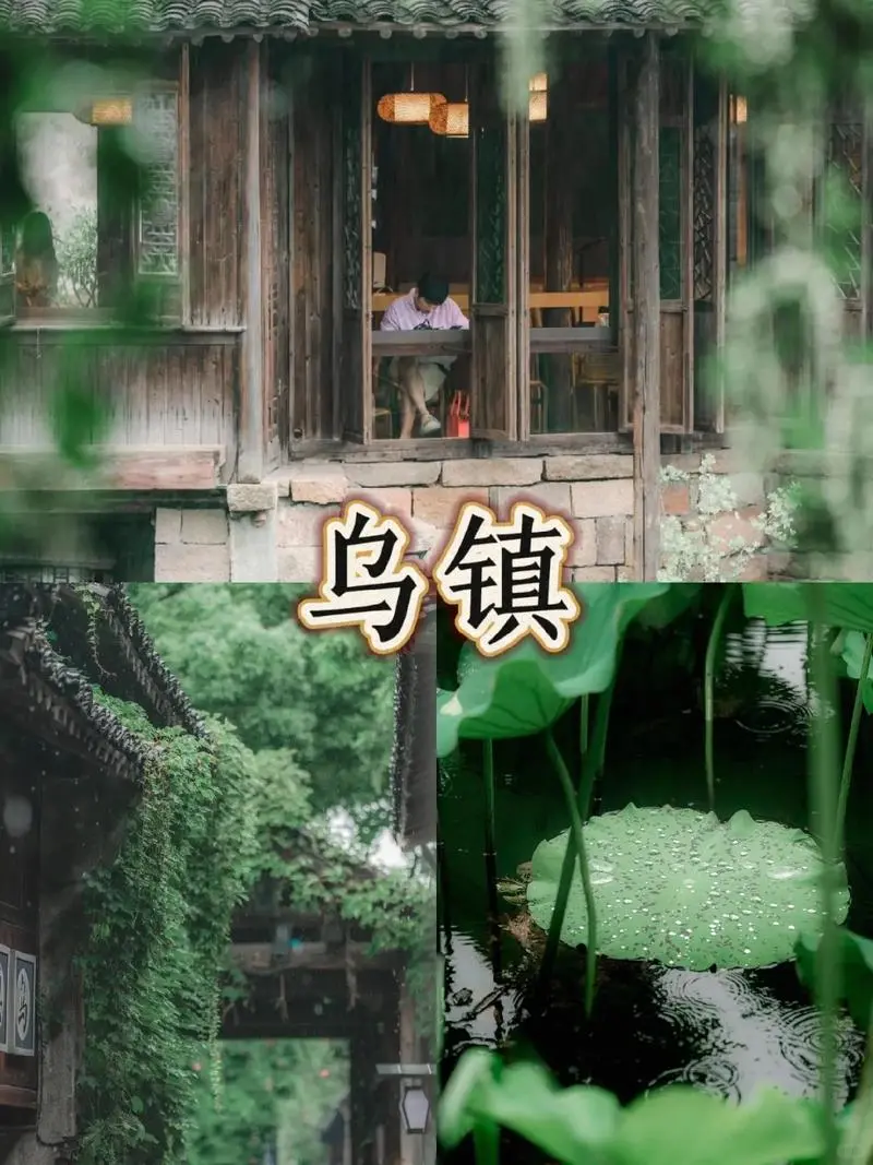 🌿【浙江超全旅行攻略】水墨江南&海岛风情