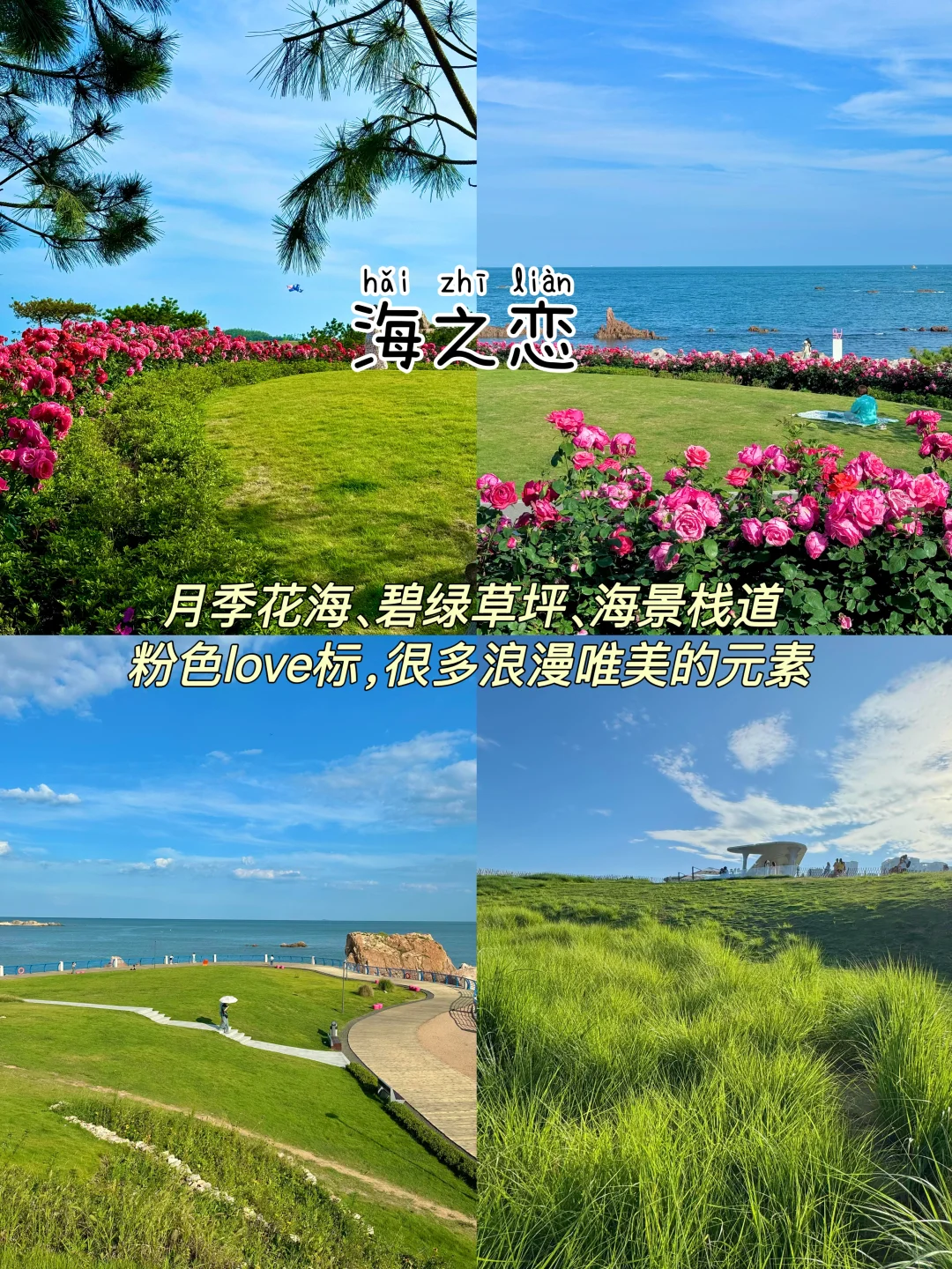 青岛📍三天两夜｜不绕路版保姆级逛吃攻略‼️