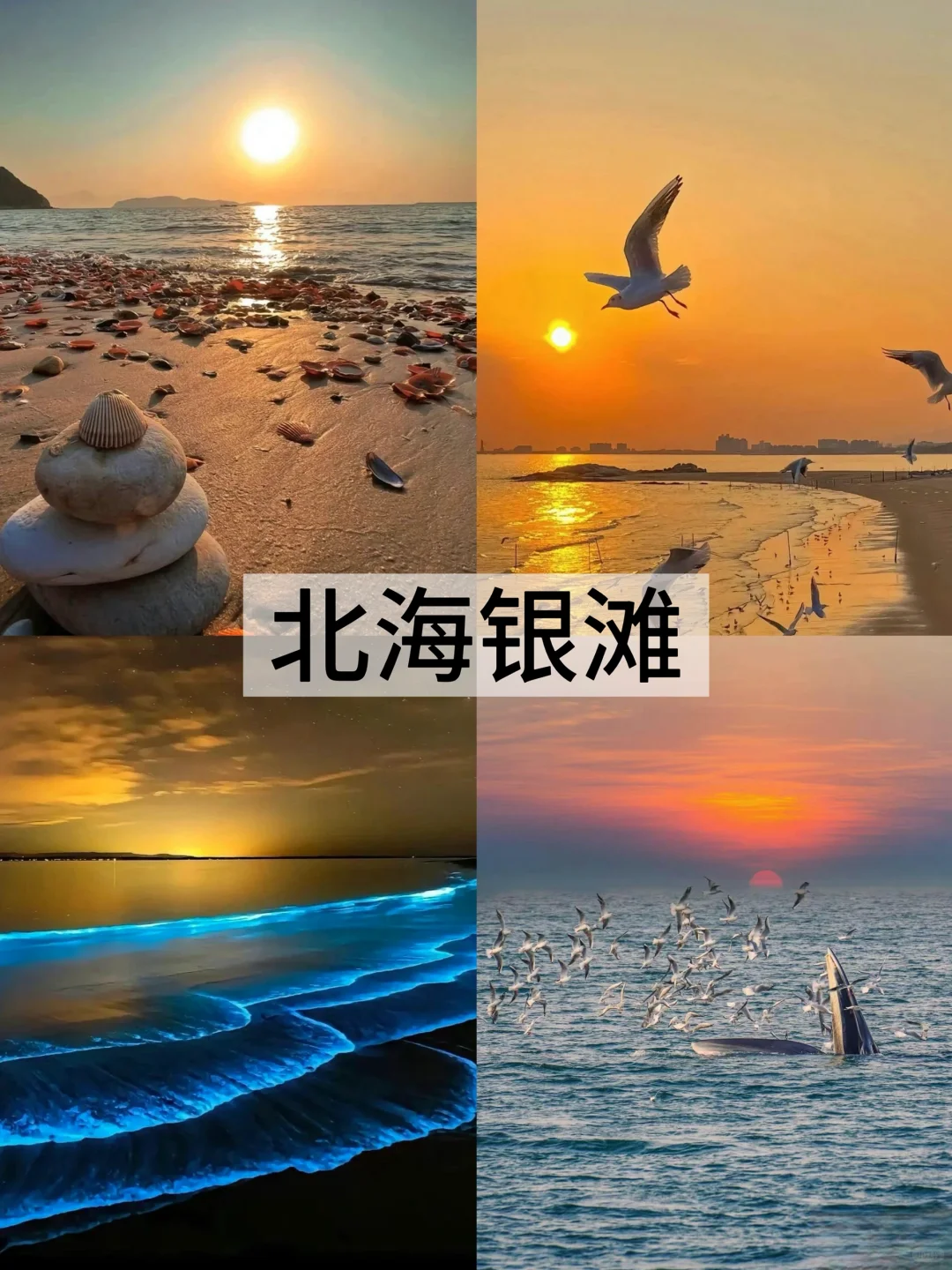 🌴反向避暑天花板！6-8月广西北海崇左全攻略