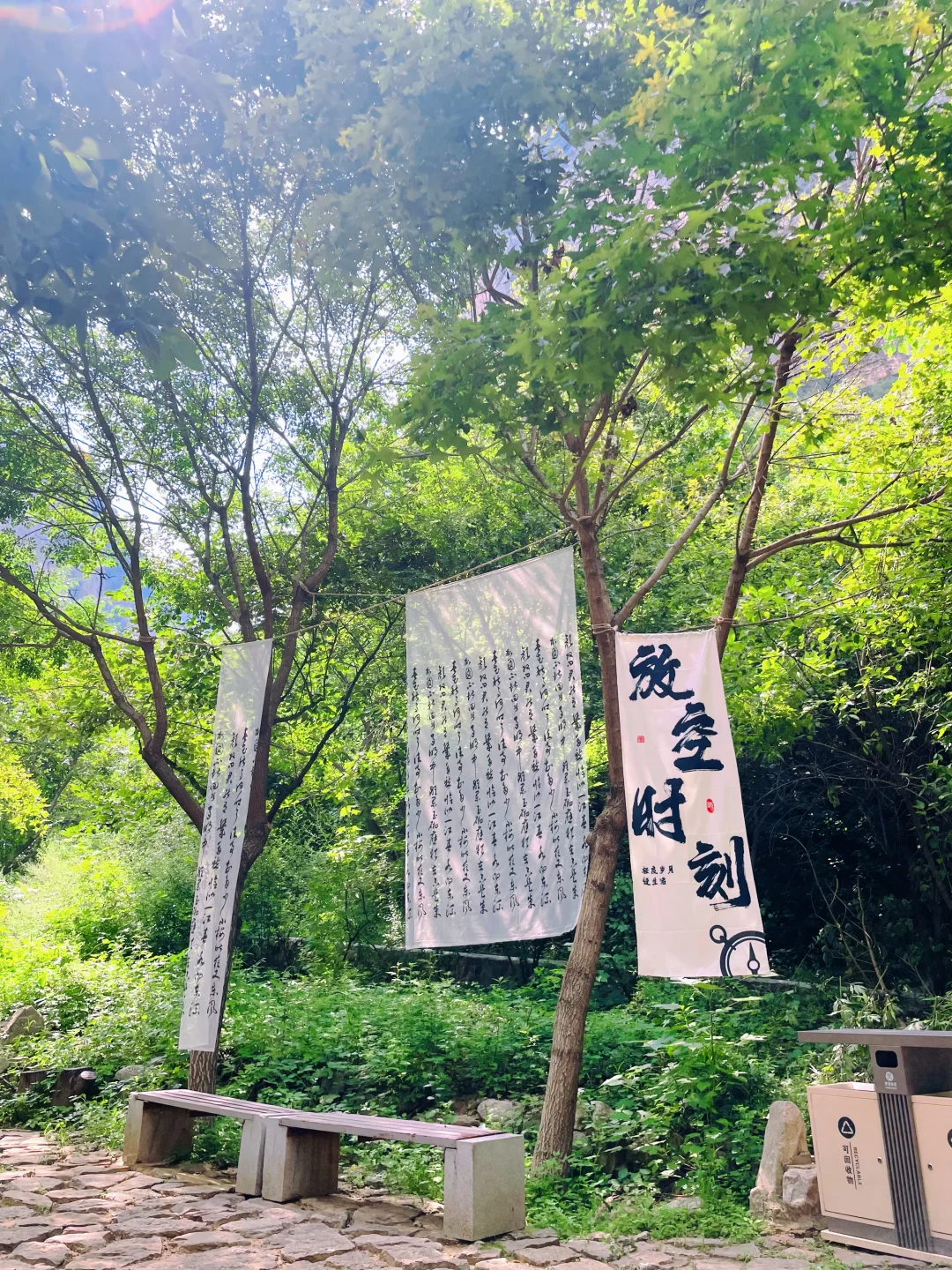 云丘山｜你们卷吧，我进山吸氧～🍃