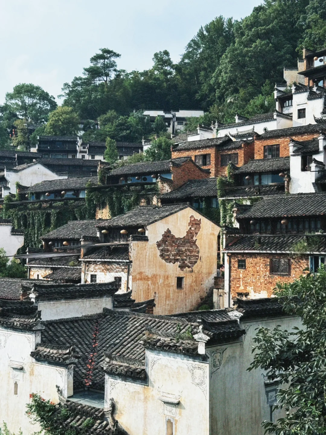 📍婺源•篁岭