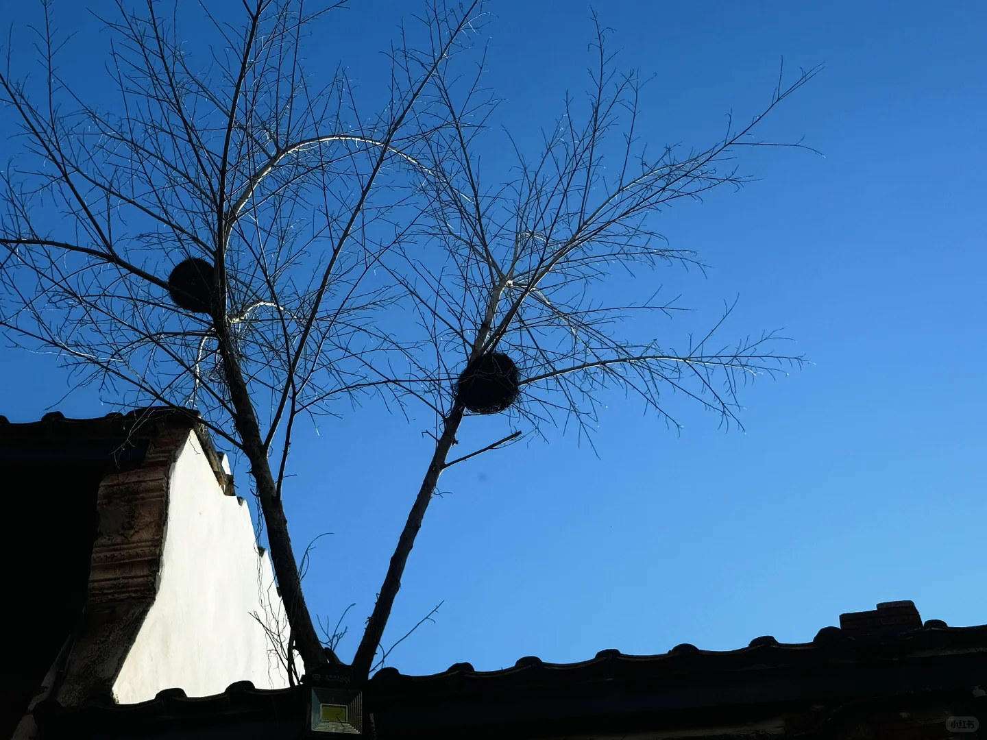 秋季🍂