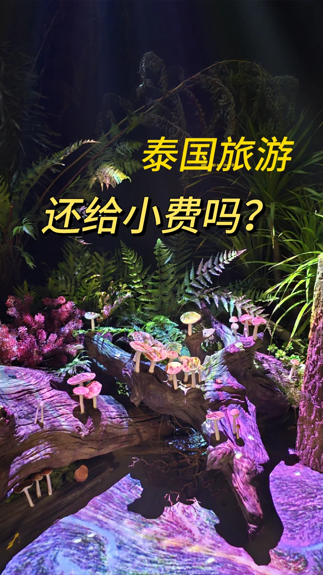 泰国旅游小费全免，留着买奶茶