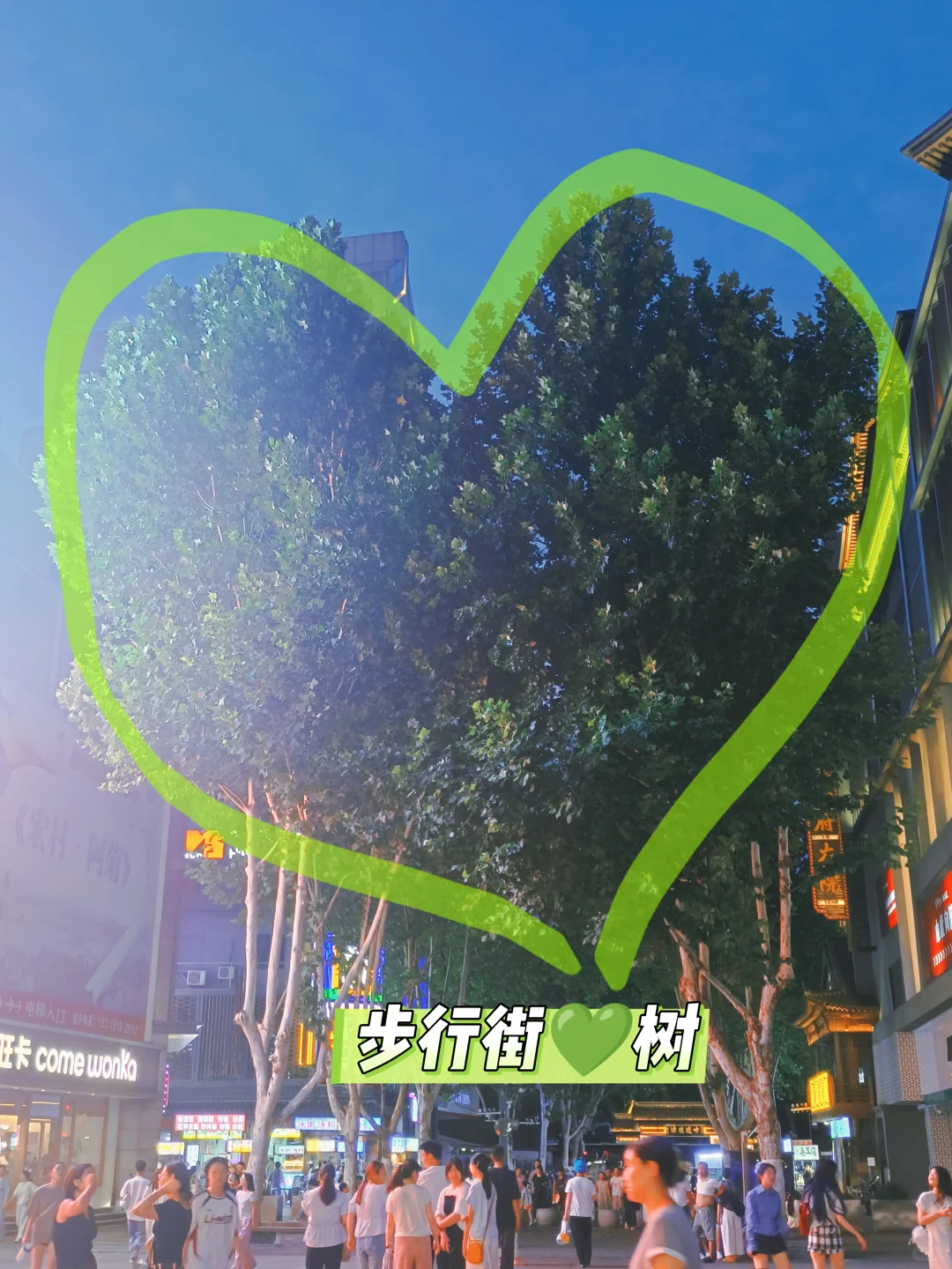 📷|夏天🍃