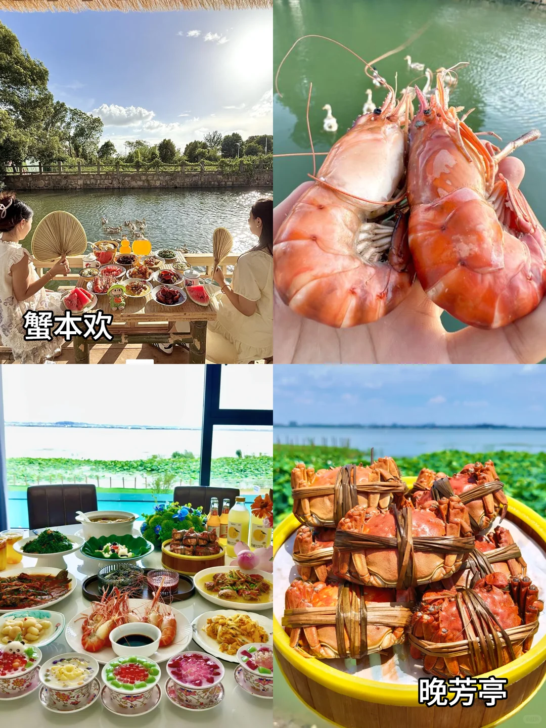 救命！理工男友做的苏州游玩攻略也太顶了吧