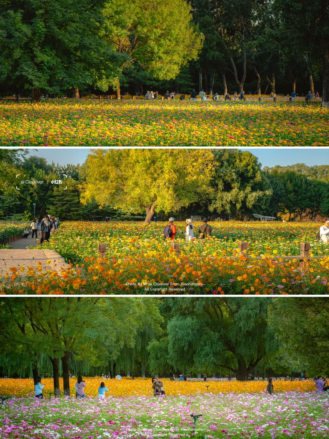 2024我在北京邂逅的宝藏风景，从胡同到景点