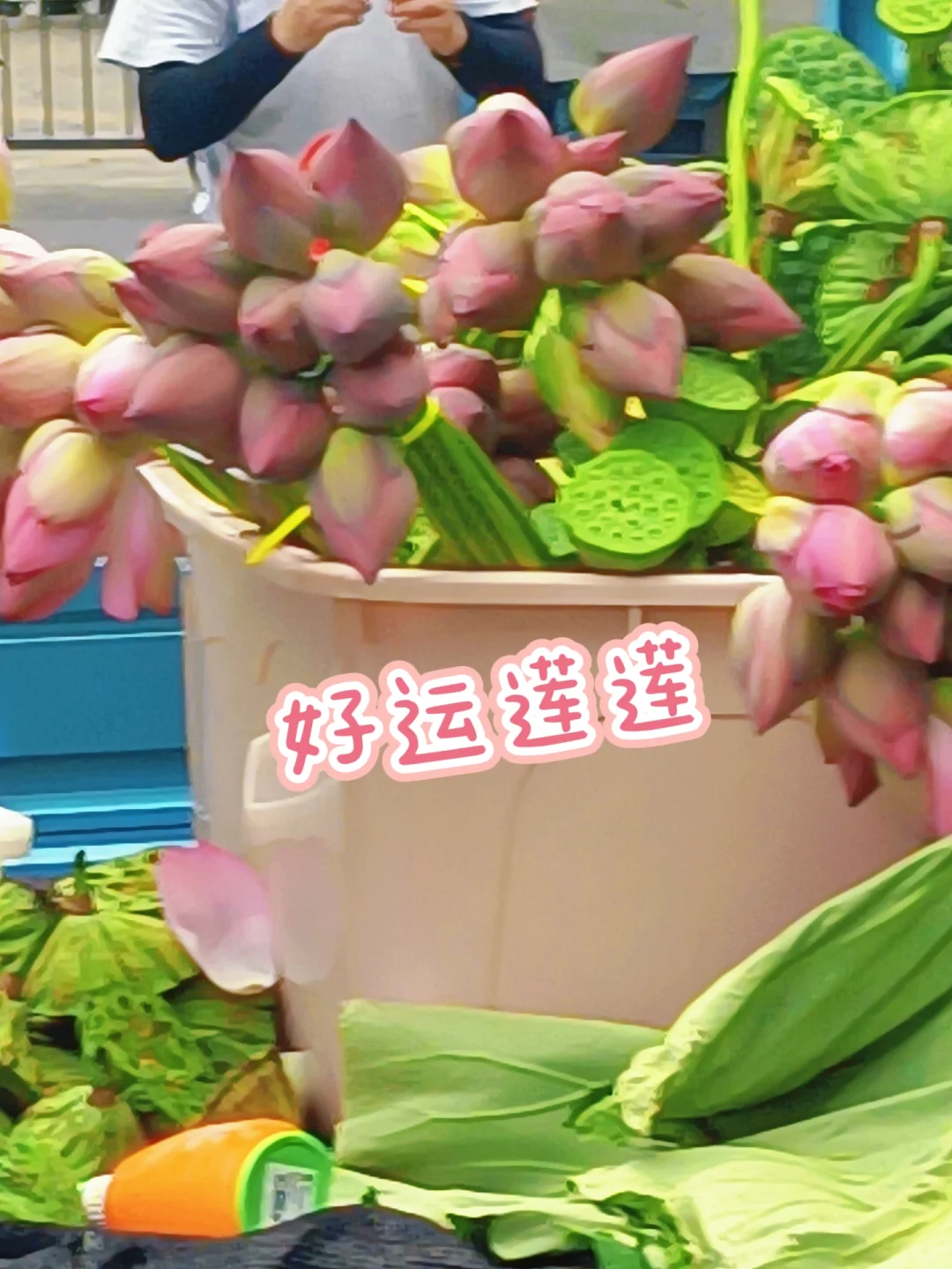 📷|夏天🍃