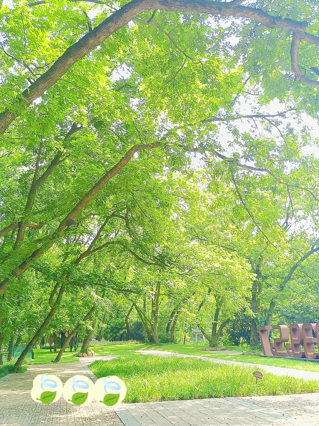 📷|夏天🍃