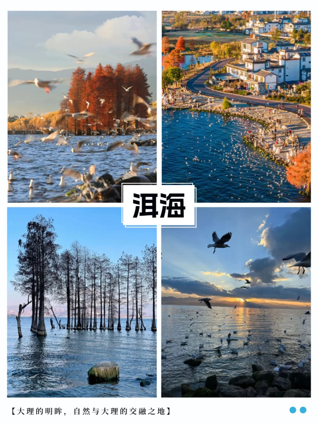 云南必去九大景点‼️千万不要错过