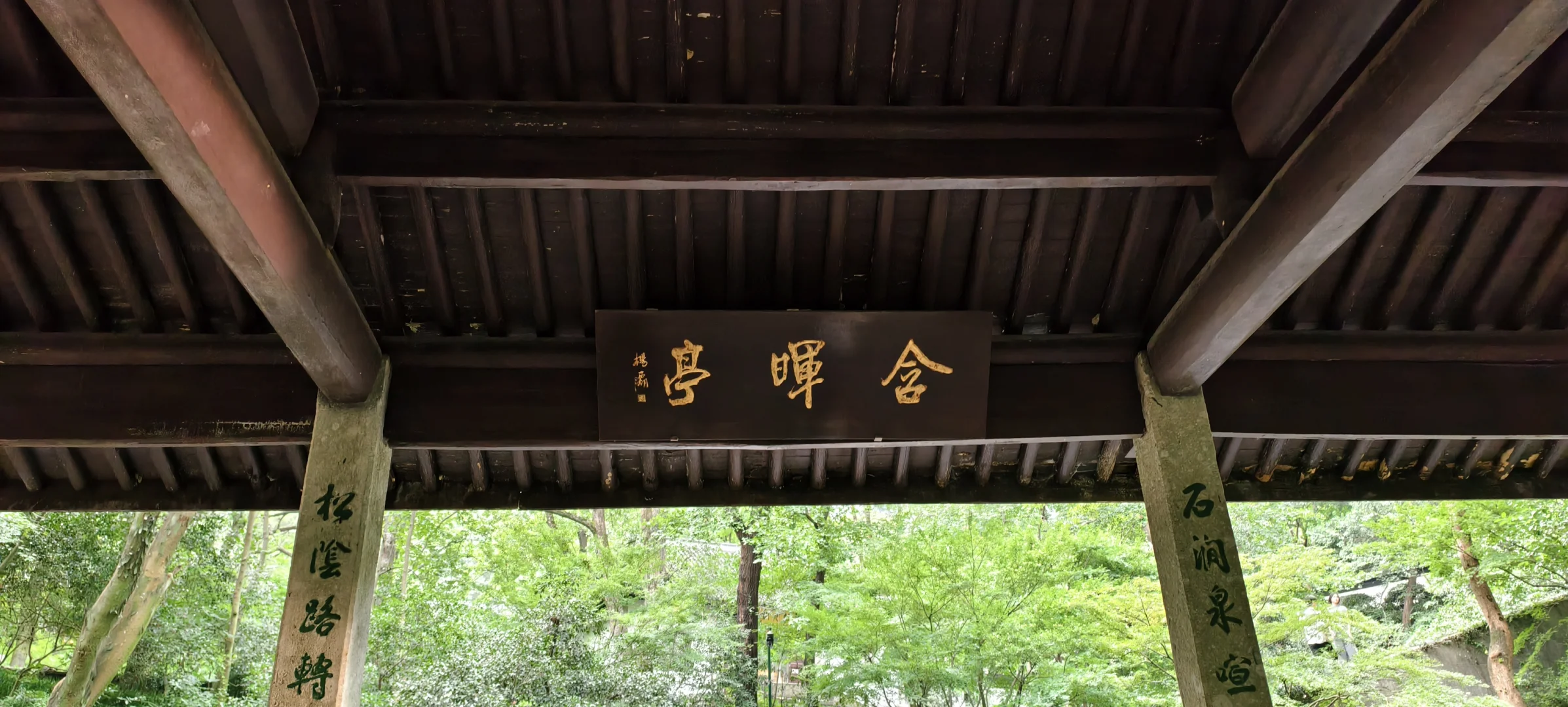 西湖｜特种兵一日游，各景点观感详记（中）