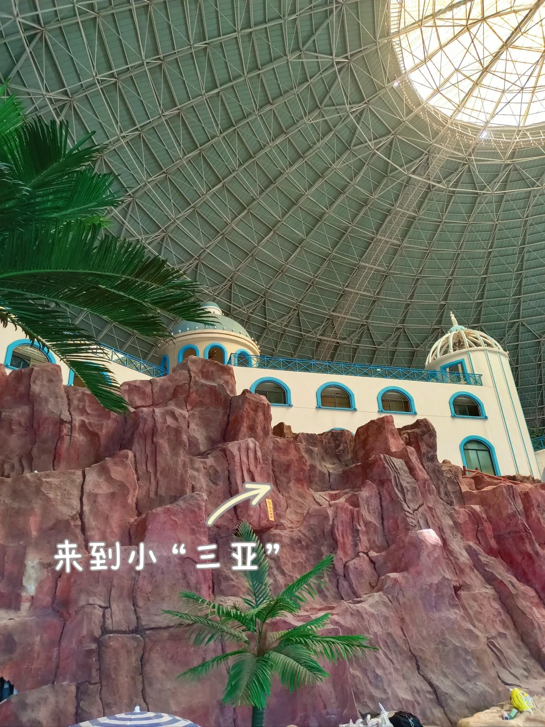 📷|夏天🍃