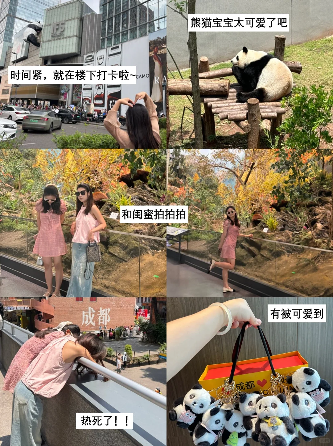 第一次来成都必看📝看完少踩95%的坑！