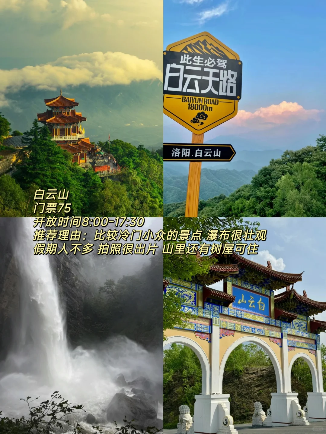 听说洛阳火了🔥这份必打卡攻略快马住🐴
