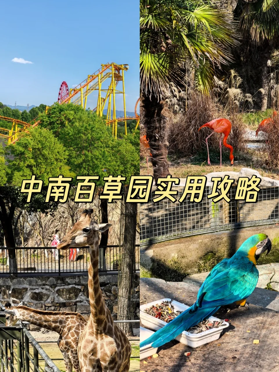 中南百草园实用攻略，带娃玩透一整天🎈