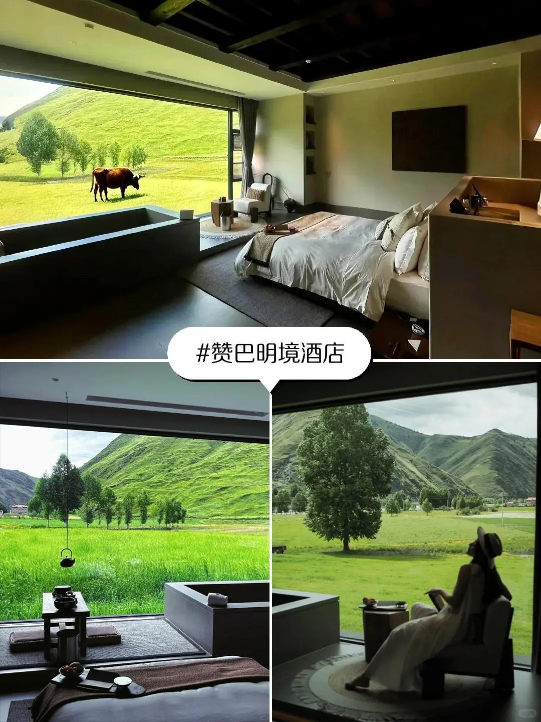 不是瑞士！是川西22℃的夏天，真的太绝了
