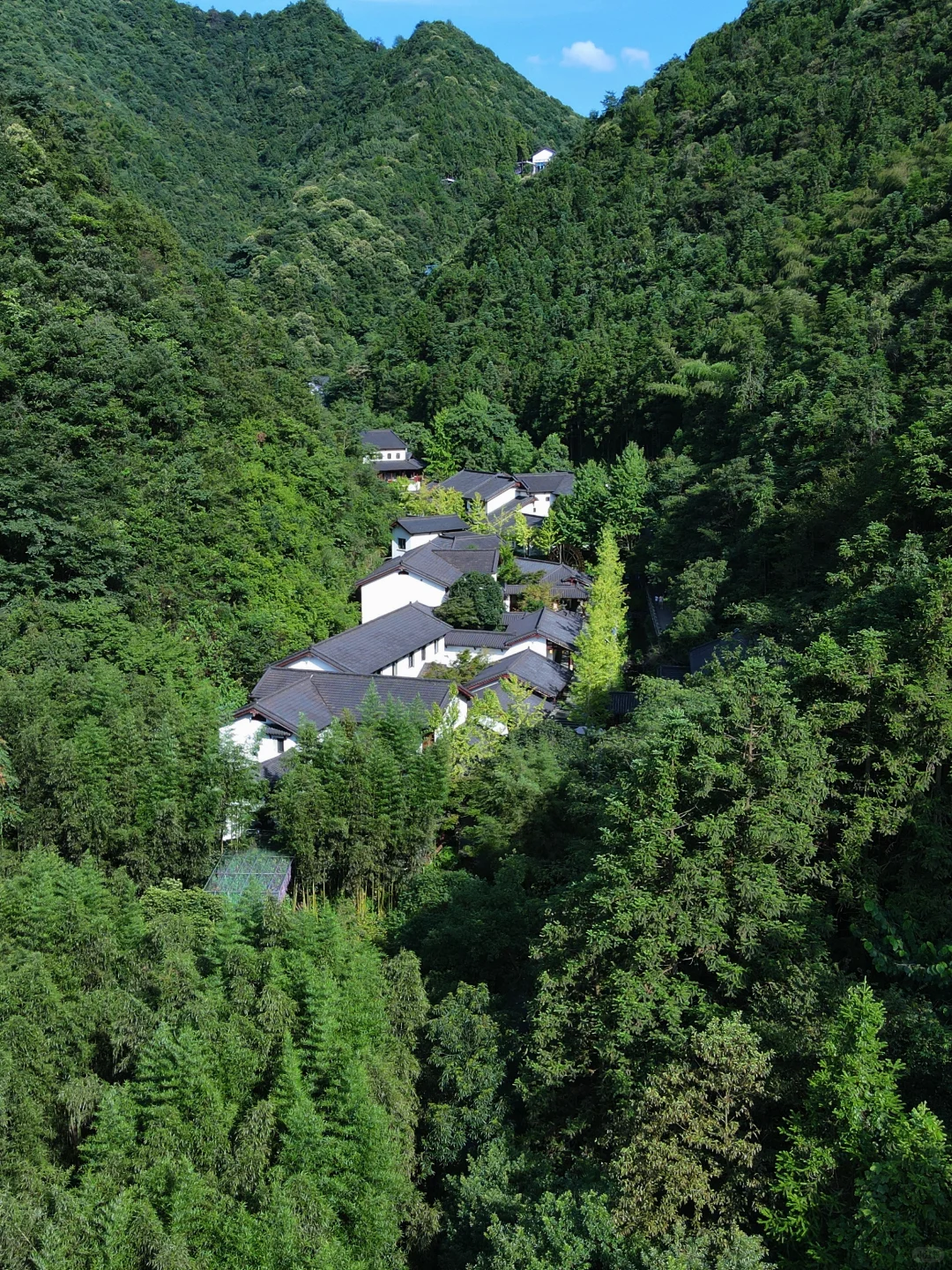 杭州出发1.5h！我发现个江浙沪宝藏山野乐园！
