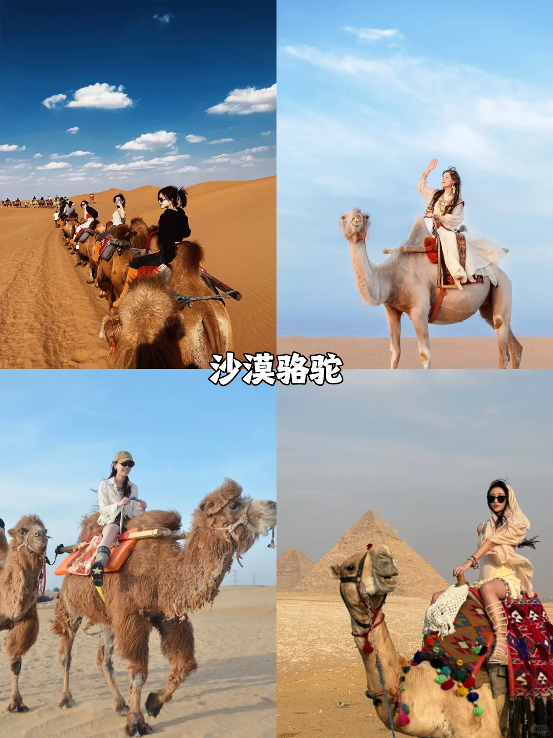 赤峰团建|7-8月团建避暑胜地，团友必看❗