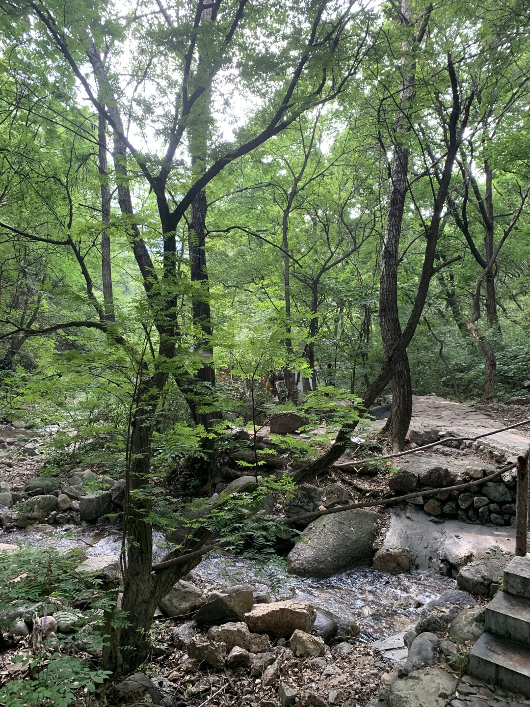 山西20℃神仙避暑地！红崖峡谷📸拍照游玩攻略
