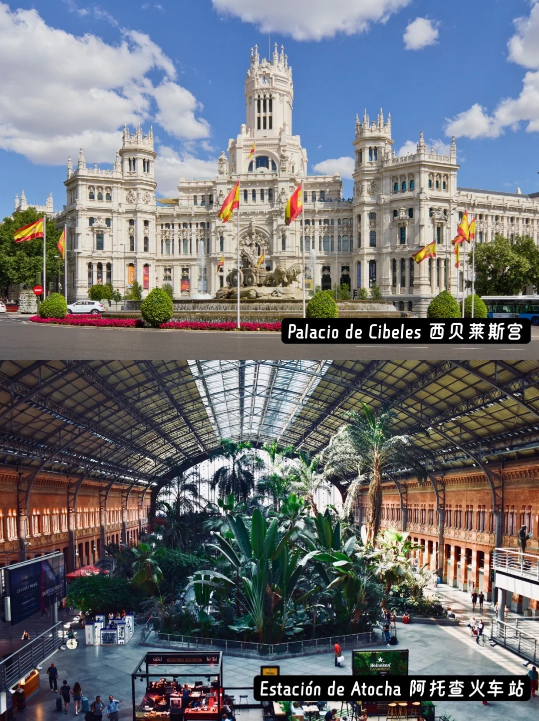 西班牙旅行9次❗️马德里必打卡的10个景点