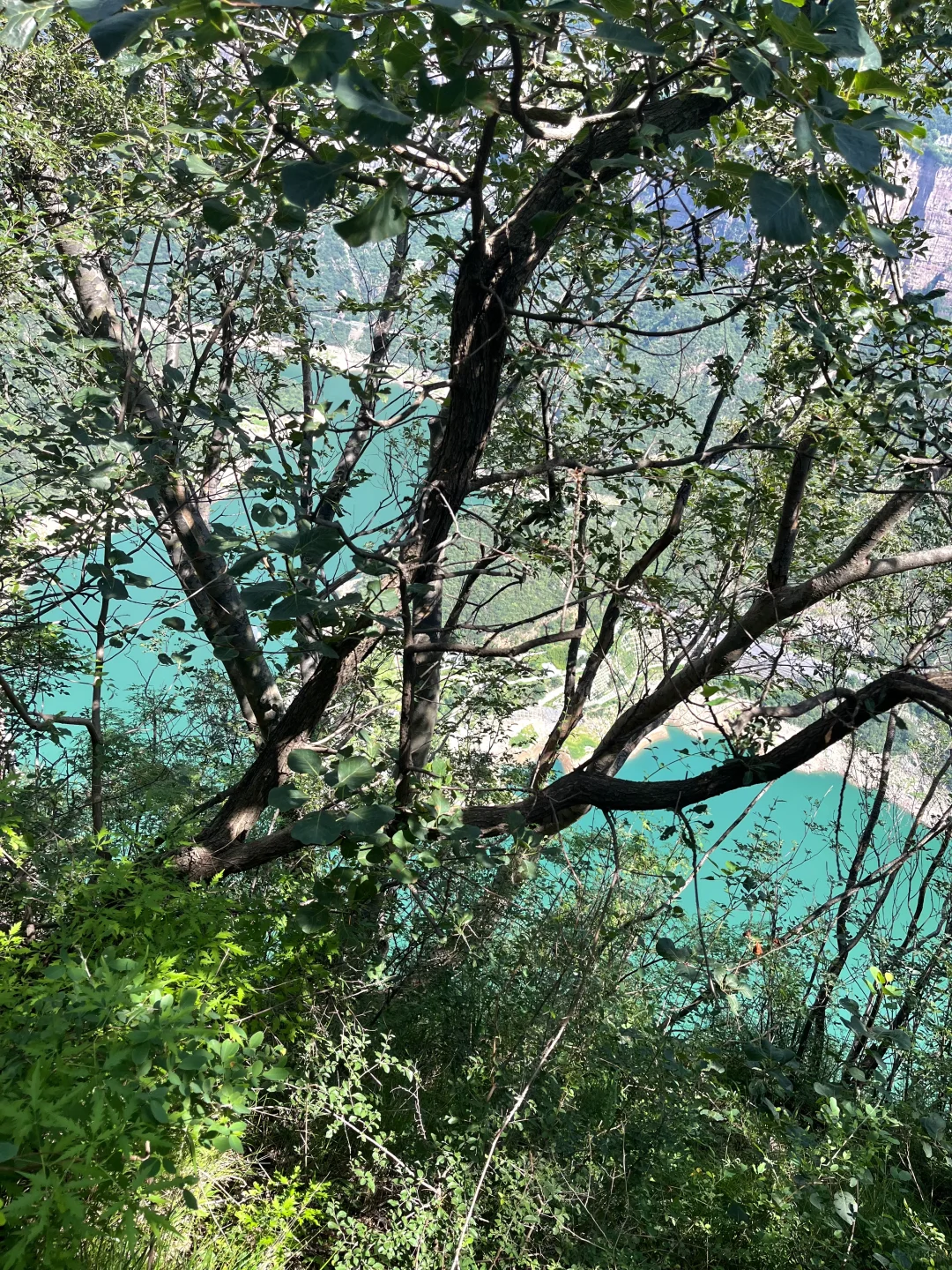 📍宝泉崖天下真的美到犯规！不愧是5AAAAA …