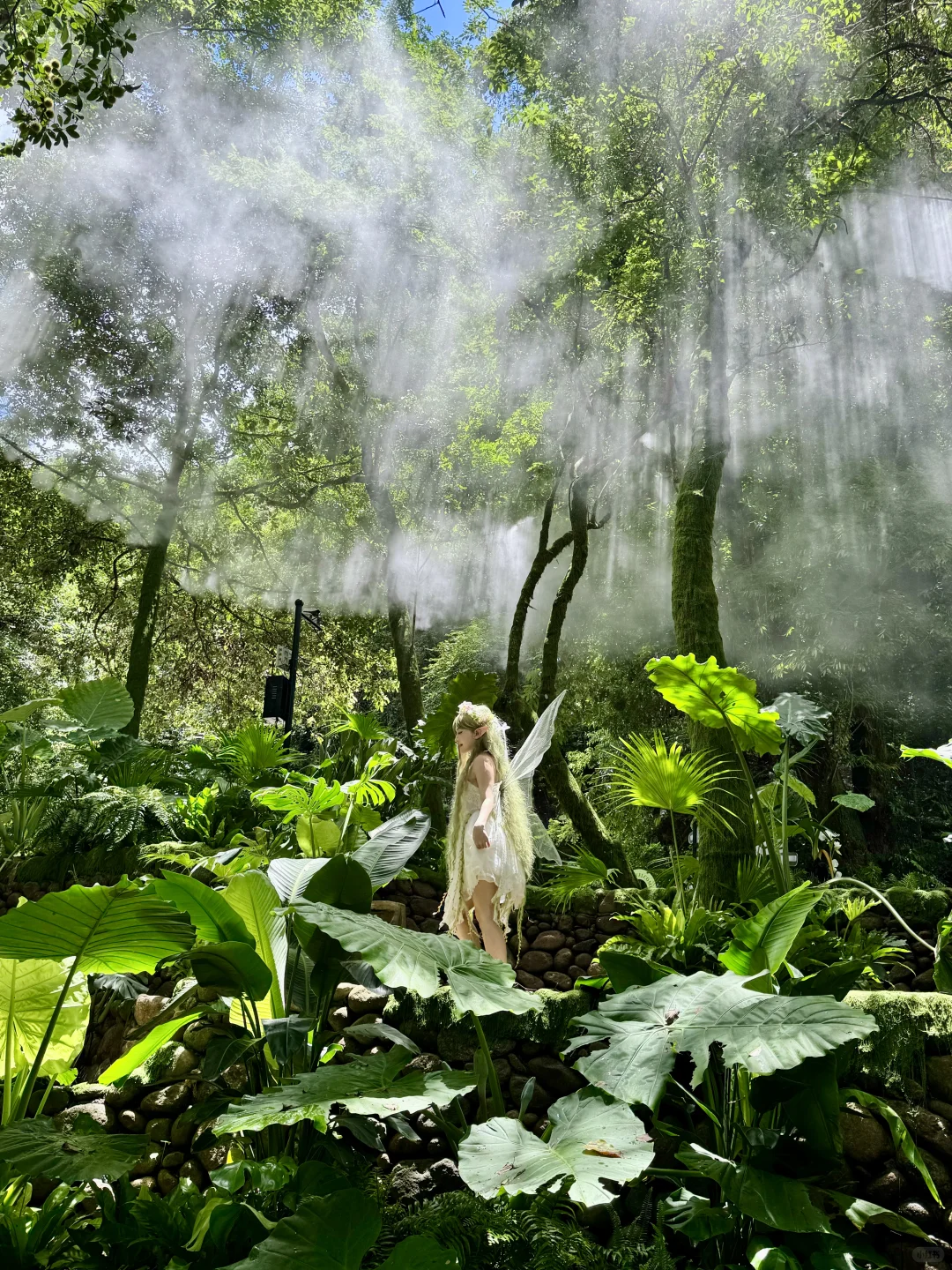 福建最值得去的地方，绿野仙踪的避暑地～