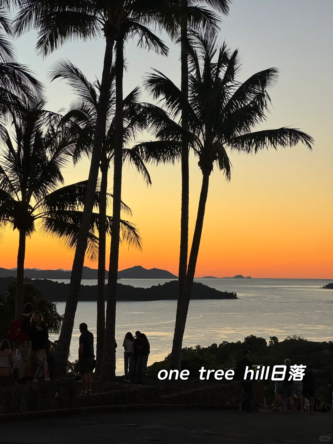 我宣布！这里是我的人生海岛！！😍😍😍