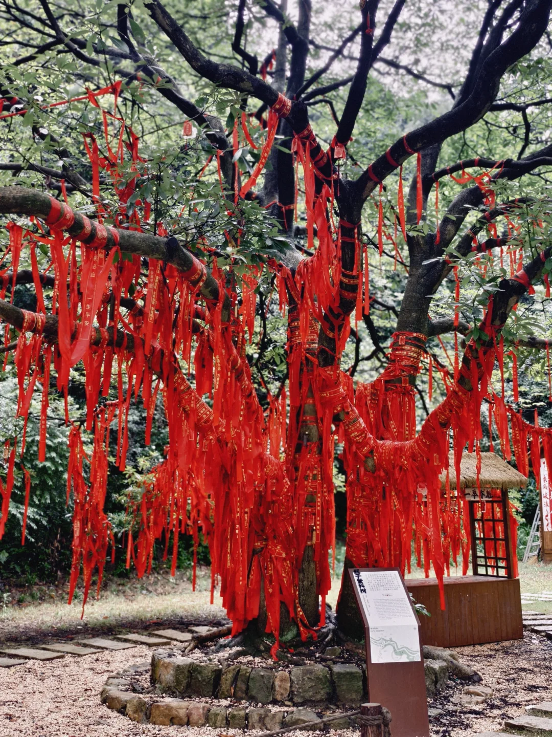 白龙潭景区