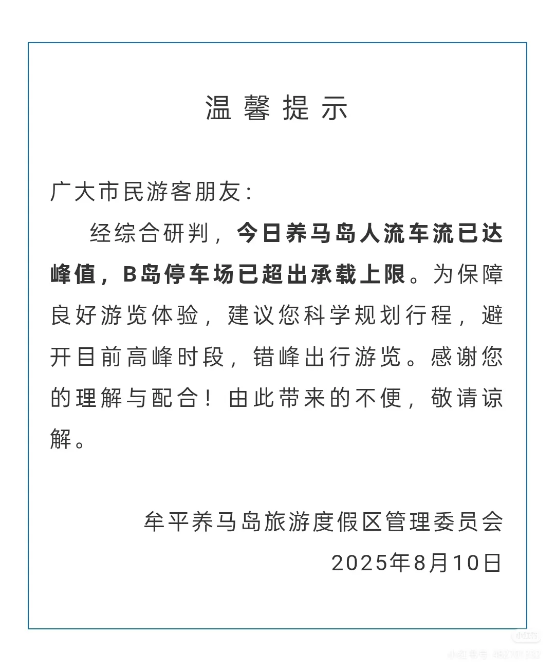 8月10日养马岛达到峰值 没去的就别去了