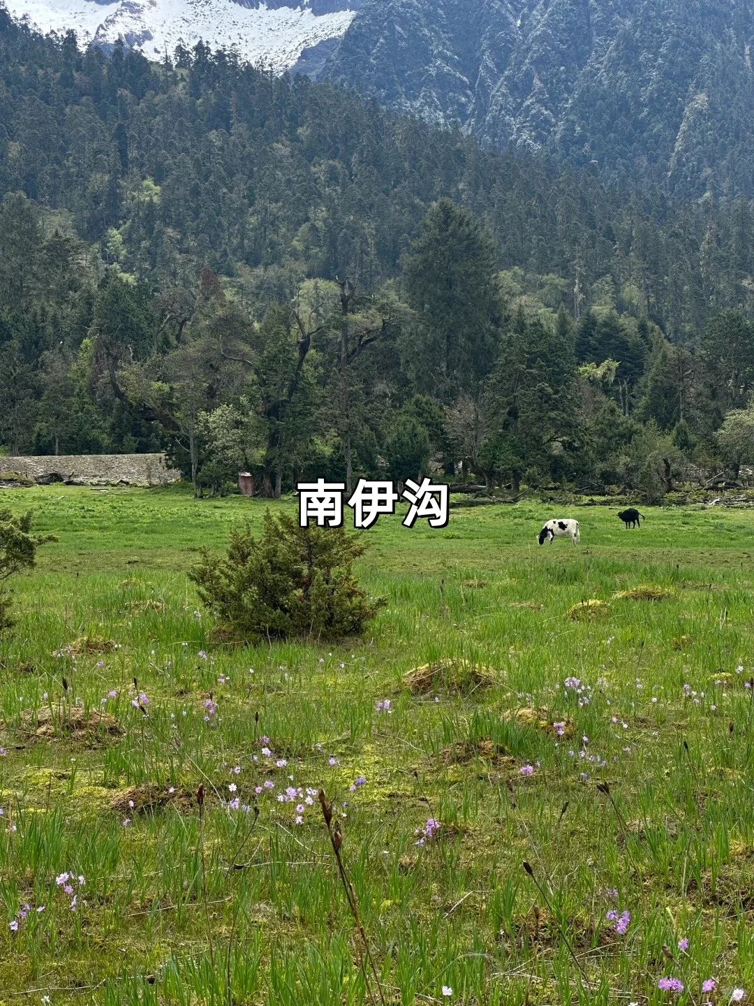 国内适合发呆的九个角落｜心灵治愈指南